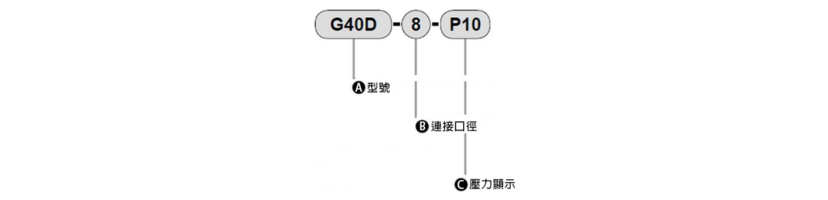 G40D系列的型式格式