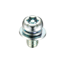 防拆螺絲 附銷、盤頭梅花孔（6-LOBE）小螺絲（已組裝墊圈+彈簧墊圈） TX250205ZP3
