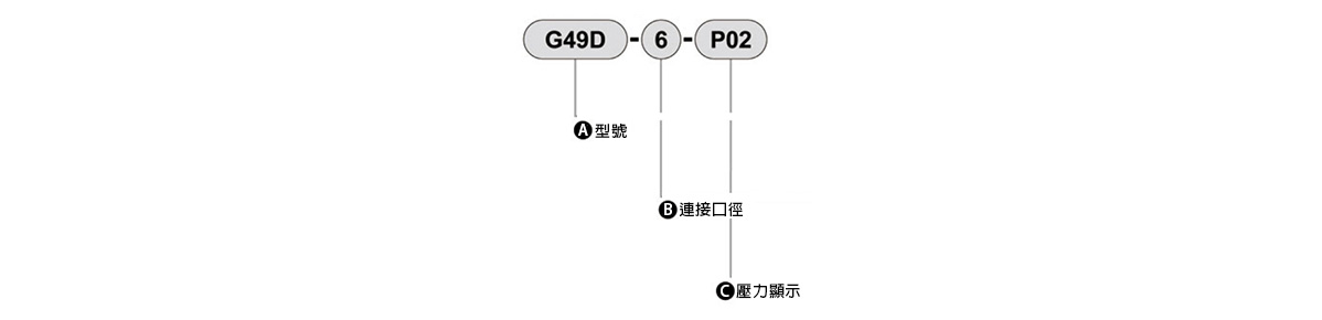 壓力計 G59D系列的型號顯示方法