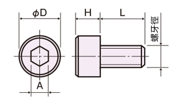 PVDF 六角穴付ボルト/PVC-0000 外形図